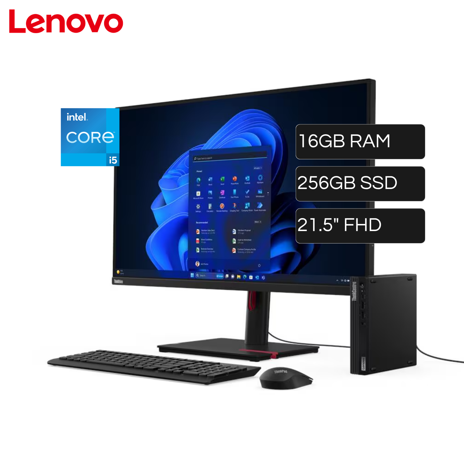 Mini Pc Lenovo ThinkCentre M70Q Gen 5 Intel Core i5 14400T RAM 16GB Disco 256GB SSD Windows 11 Pro + Monitor ThinkVision 21.5" FHD